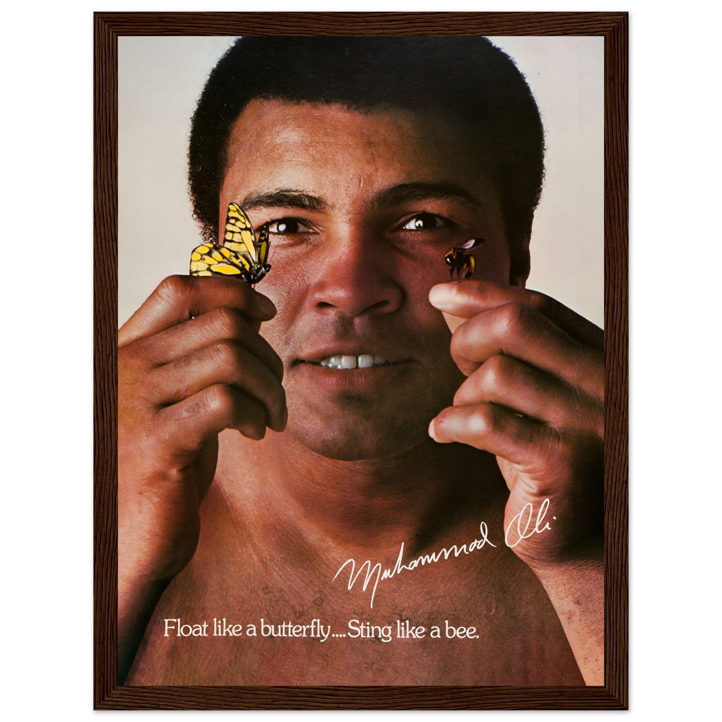 1e6335c3-e82c-4af7-b68f-13d06bbe3efb