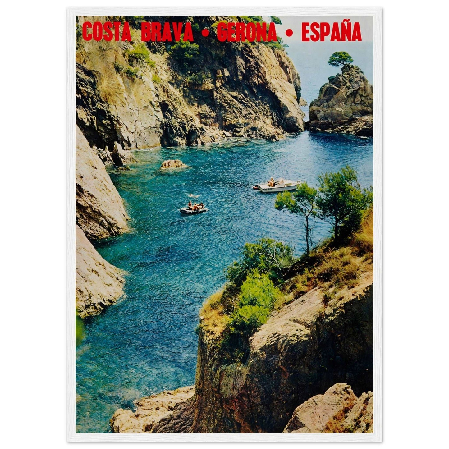 e8177b71-f483-40ae-b6d9-5138c73d348b