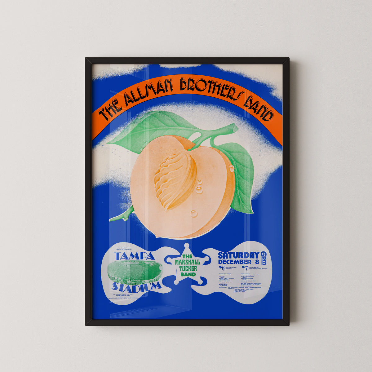 Allman Brothers Tampa 1973 Concert Poster