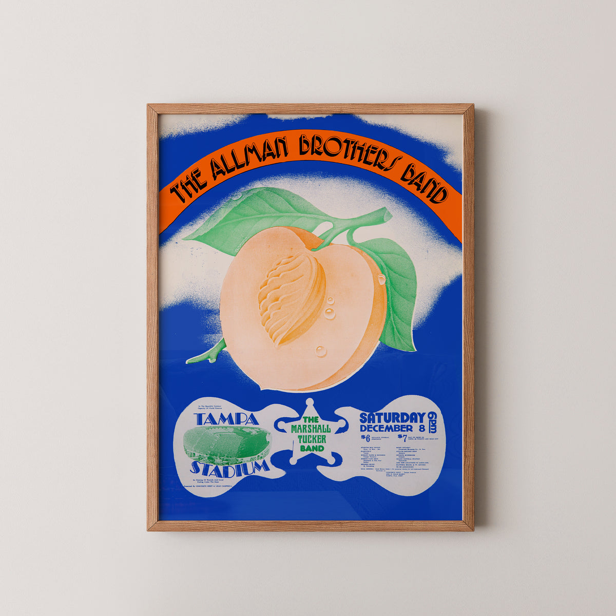 Allman Brothers Tampa 1973 Concert Poster
