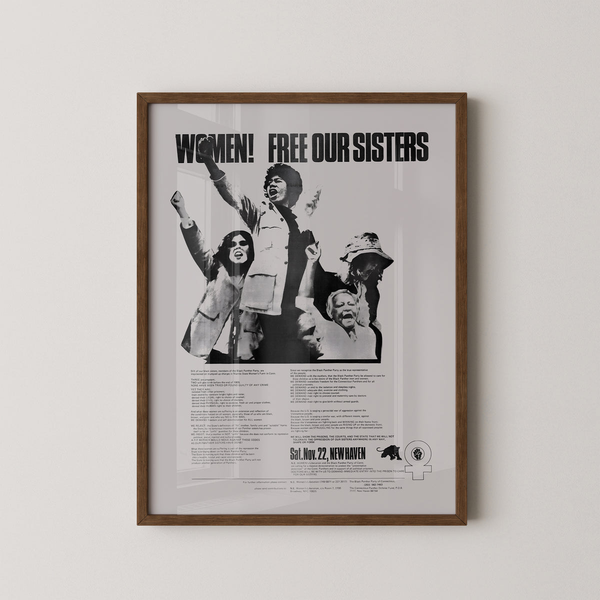 Black Panthers Feministisches Poster - Frauen Wandkunst
