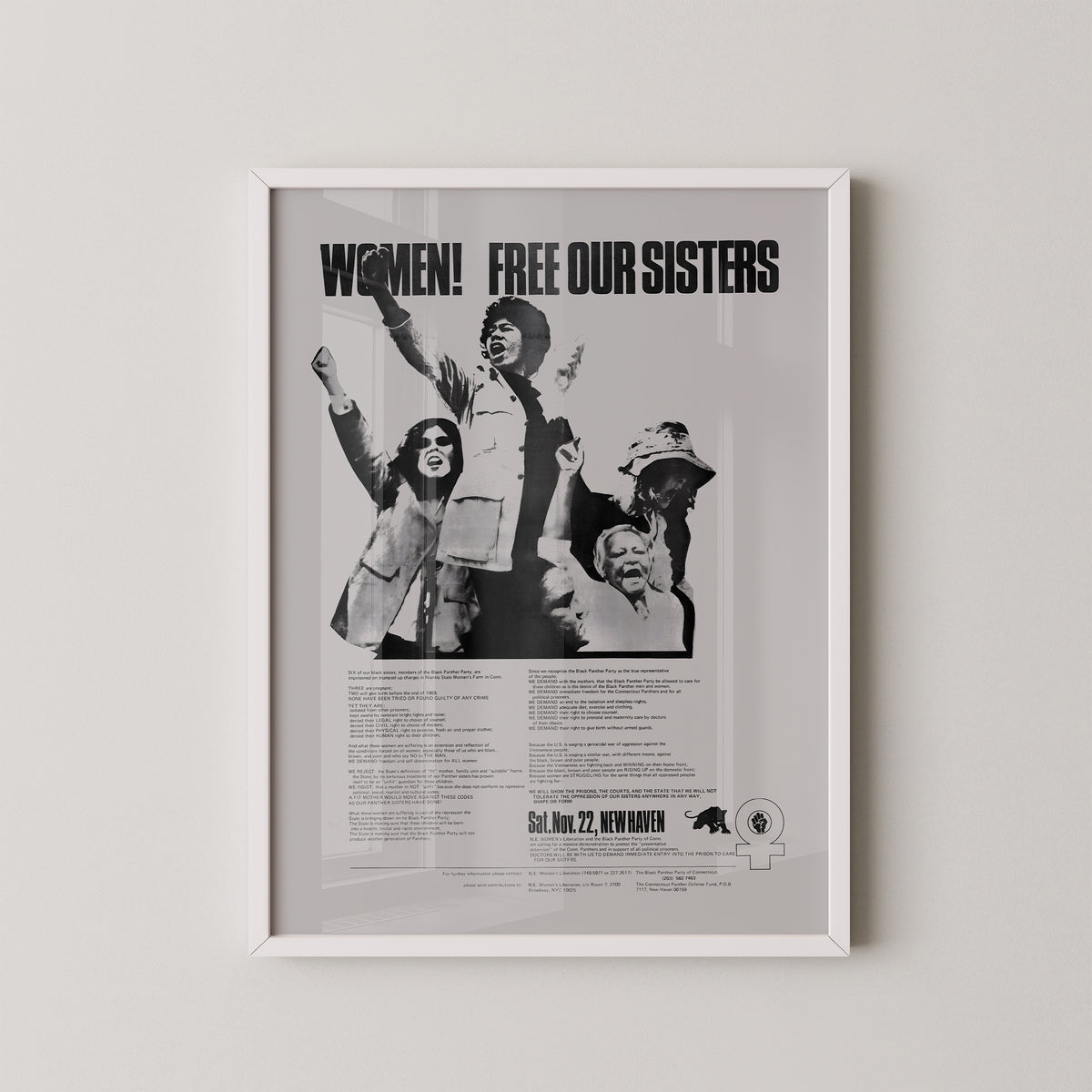 Black Panthers Feministisches Poster - Frauen Wandkunst