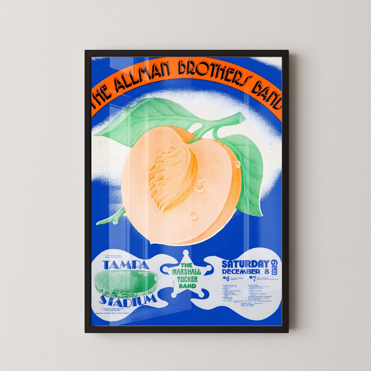 Allman Brothers Tampa 1973 Concert Poster – black frame mockup