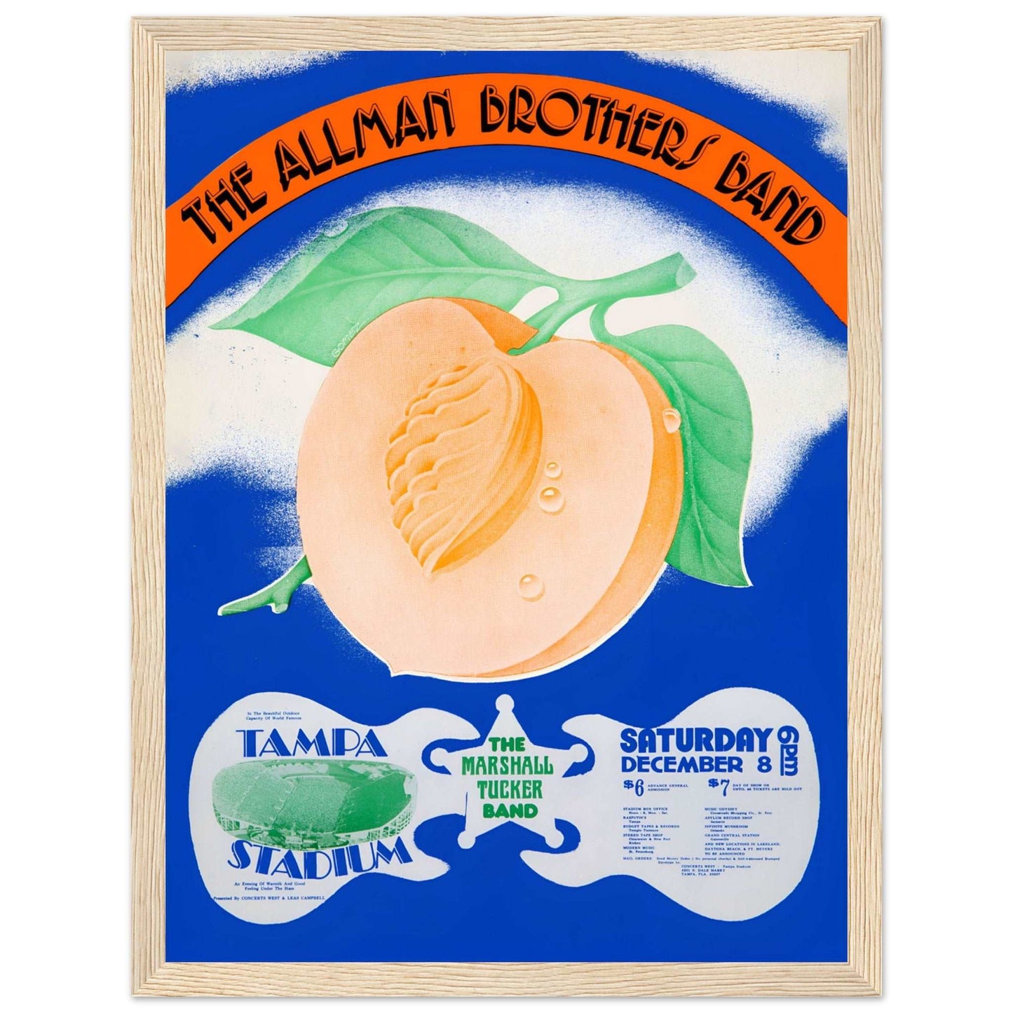 Retro Allman Brothers Band Tampa Stadium poster with stylized peach graphic design