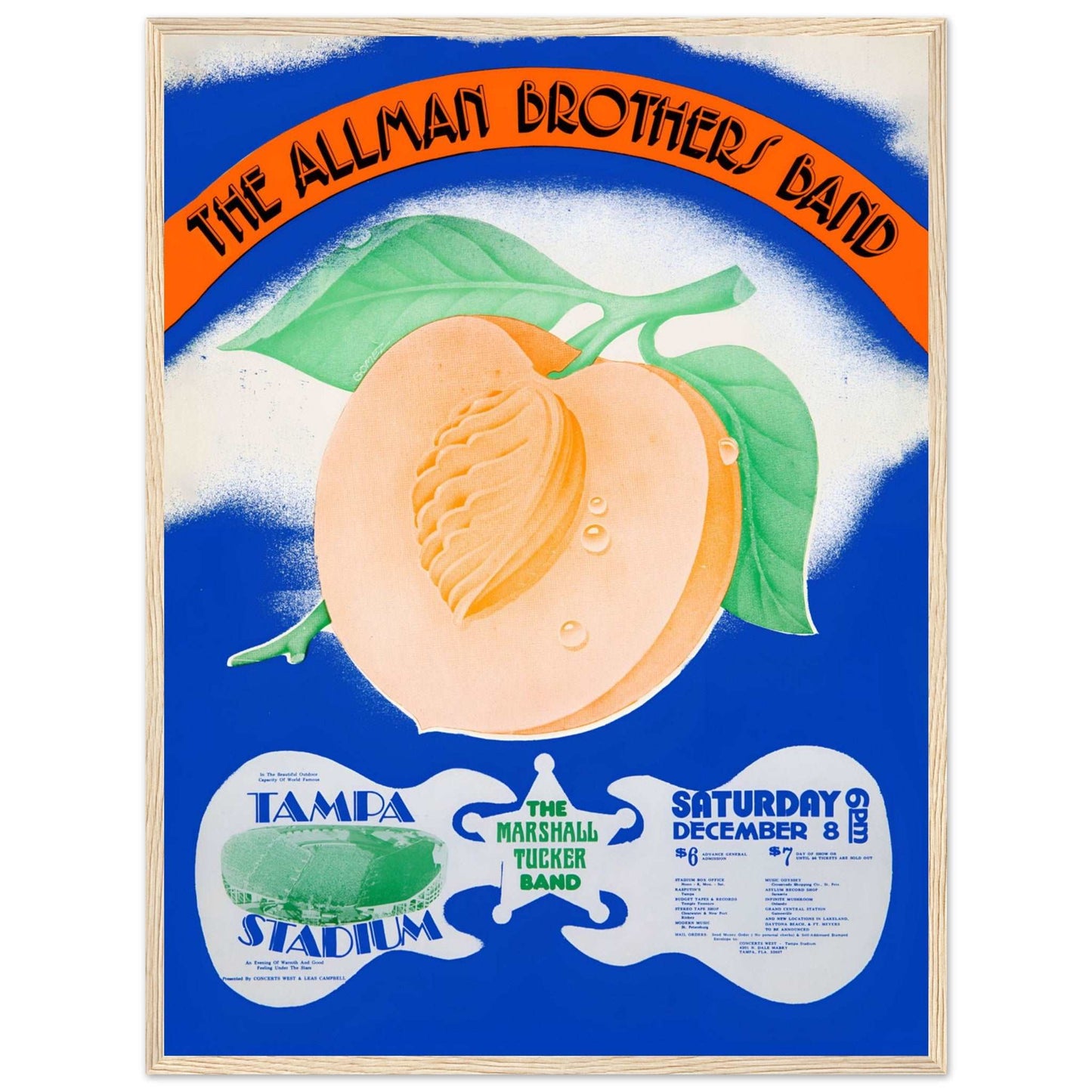 Vintage Tampa Stadium concert poster of The Allman Brothers Band for music lovers