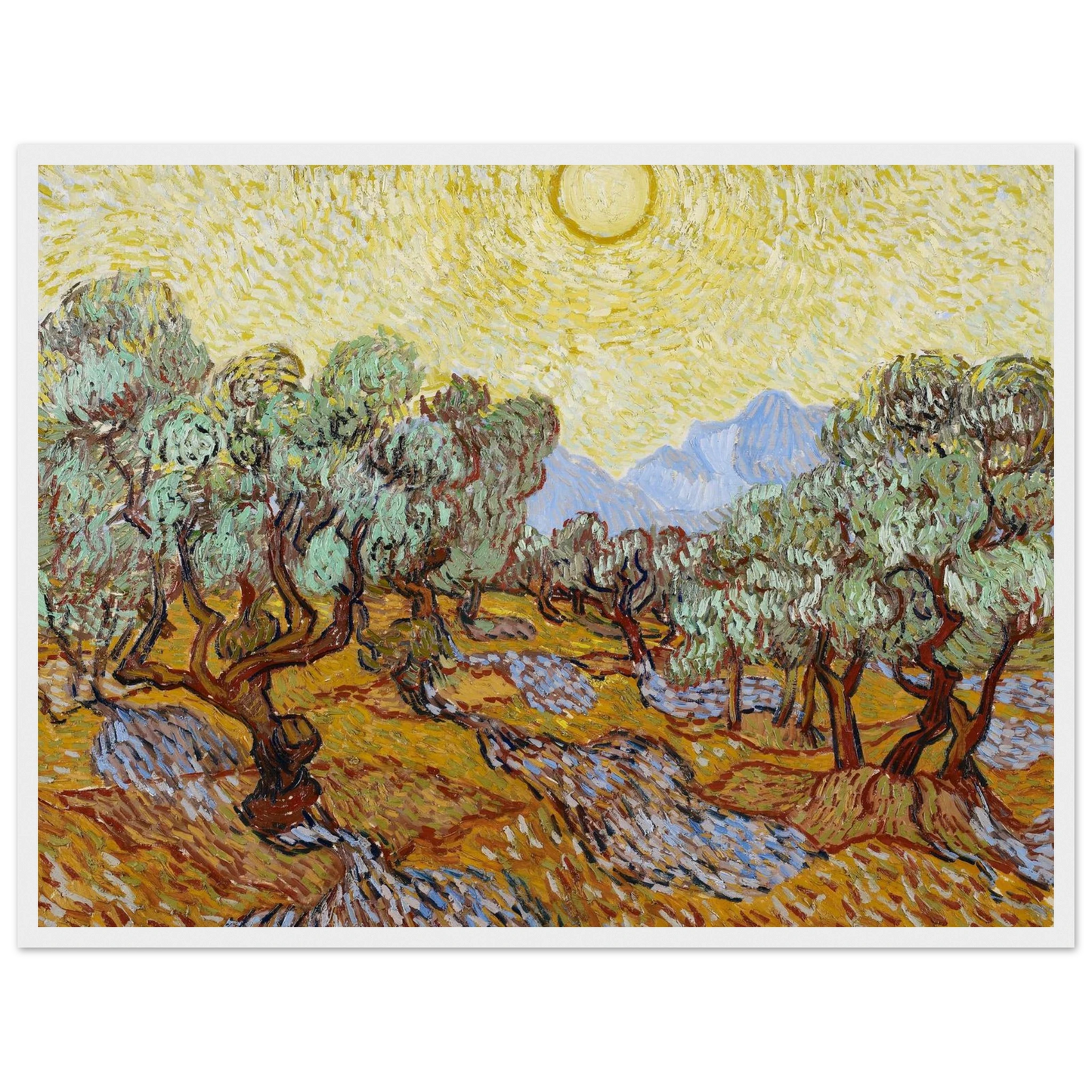 Nature-inspired painting Olive Trees (1889) by Vincent van Gogh, reproduced on archival paper to showcase his dynamic brushwork.