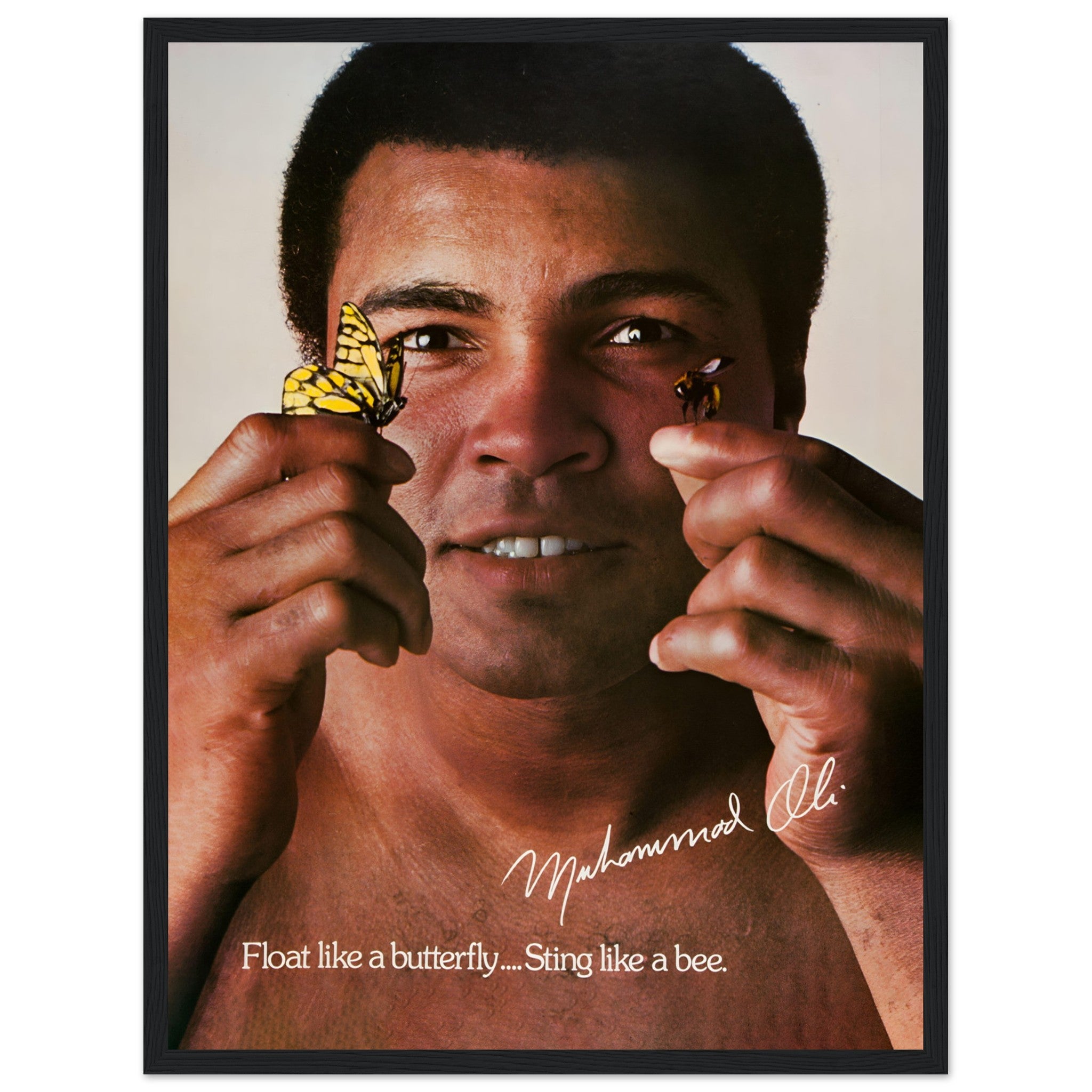 Honor Muhammad Ali with this "Float like a butterfly, sting like a bee" poster. A must-have for boxing fans, sports collectors, and lovers of legendary athletes.
