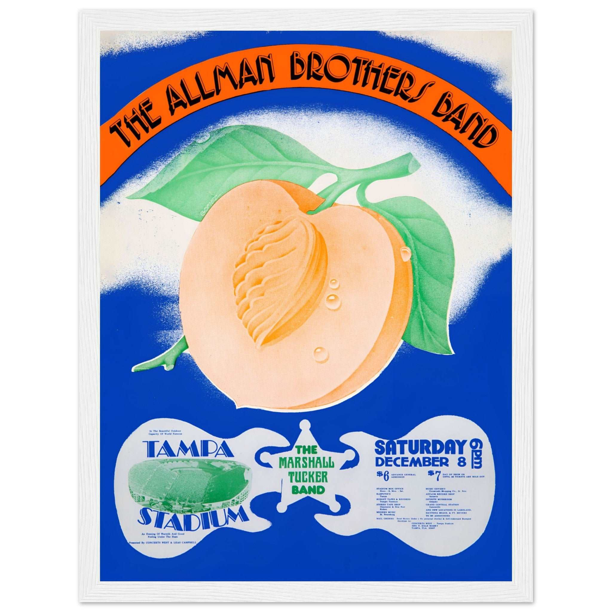 The Allman Brothers Band vintage poster print ideal for home or studio decor