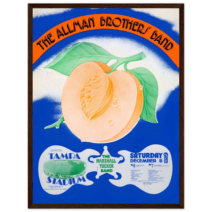 Classic rock wall art print inspired by The Allman Brothers Band live concert