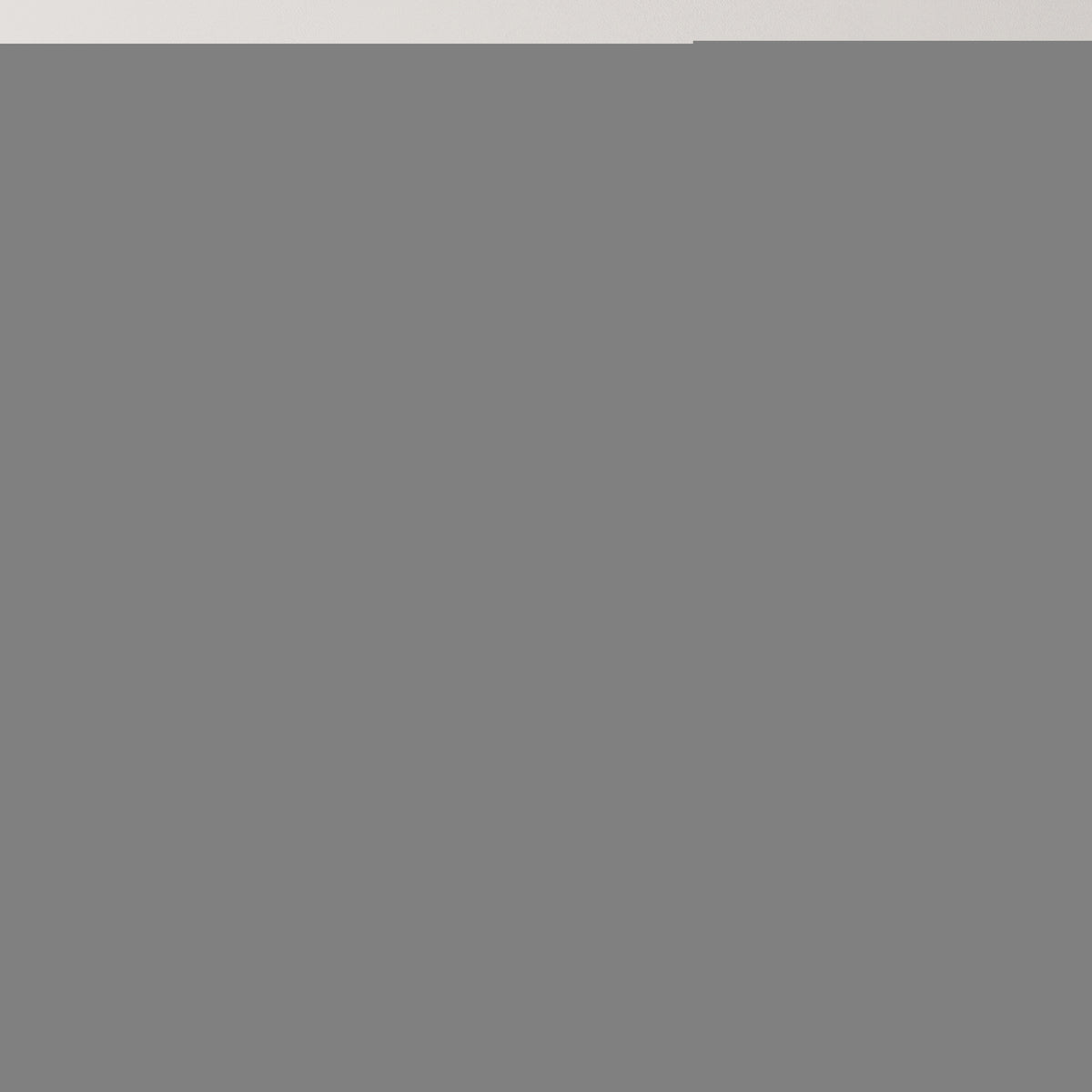 arnold schwarzenegger bodybuilding poster – black frame mockup