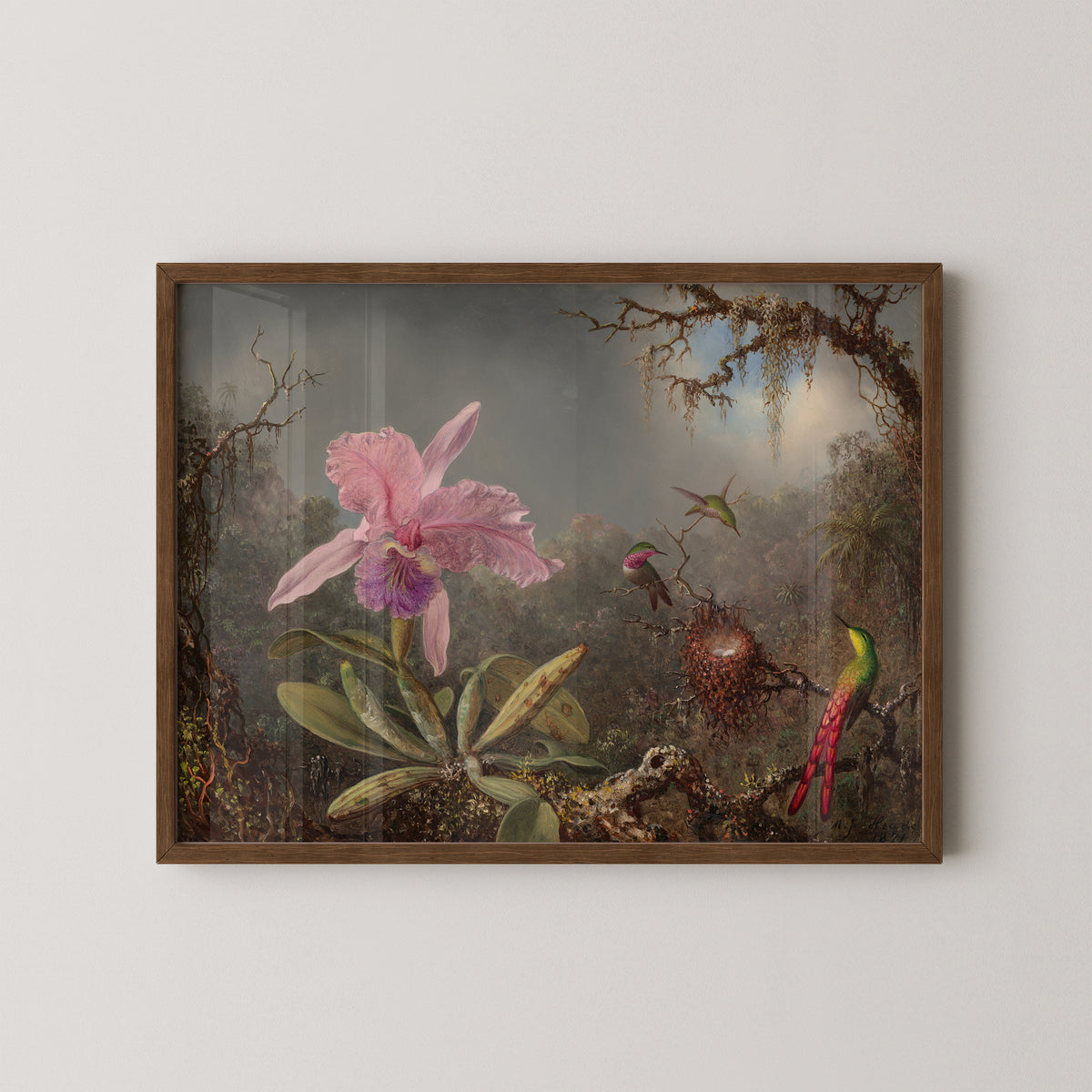 Cattleya Orchid and Three Hummingbirds by Martin Johnson Heade art print in a dark wood frame, with pink orchid and hummingbirds