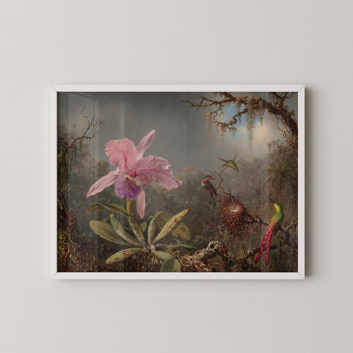 White-framed Cattleya Orchid and Three Hummingbirds by Martin Johnson Heade art print, featuring pink orchid and hummingbirds
