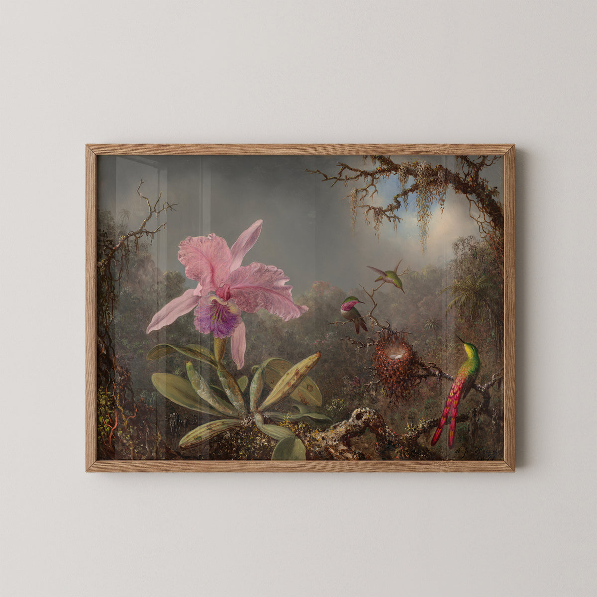 Natural wood-framed Cattleya Orchid and Three Hummingbirds by Martin Johnson Heade art print, showing pink orchid and hummingbirds