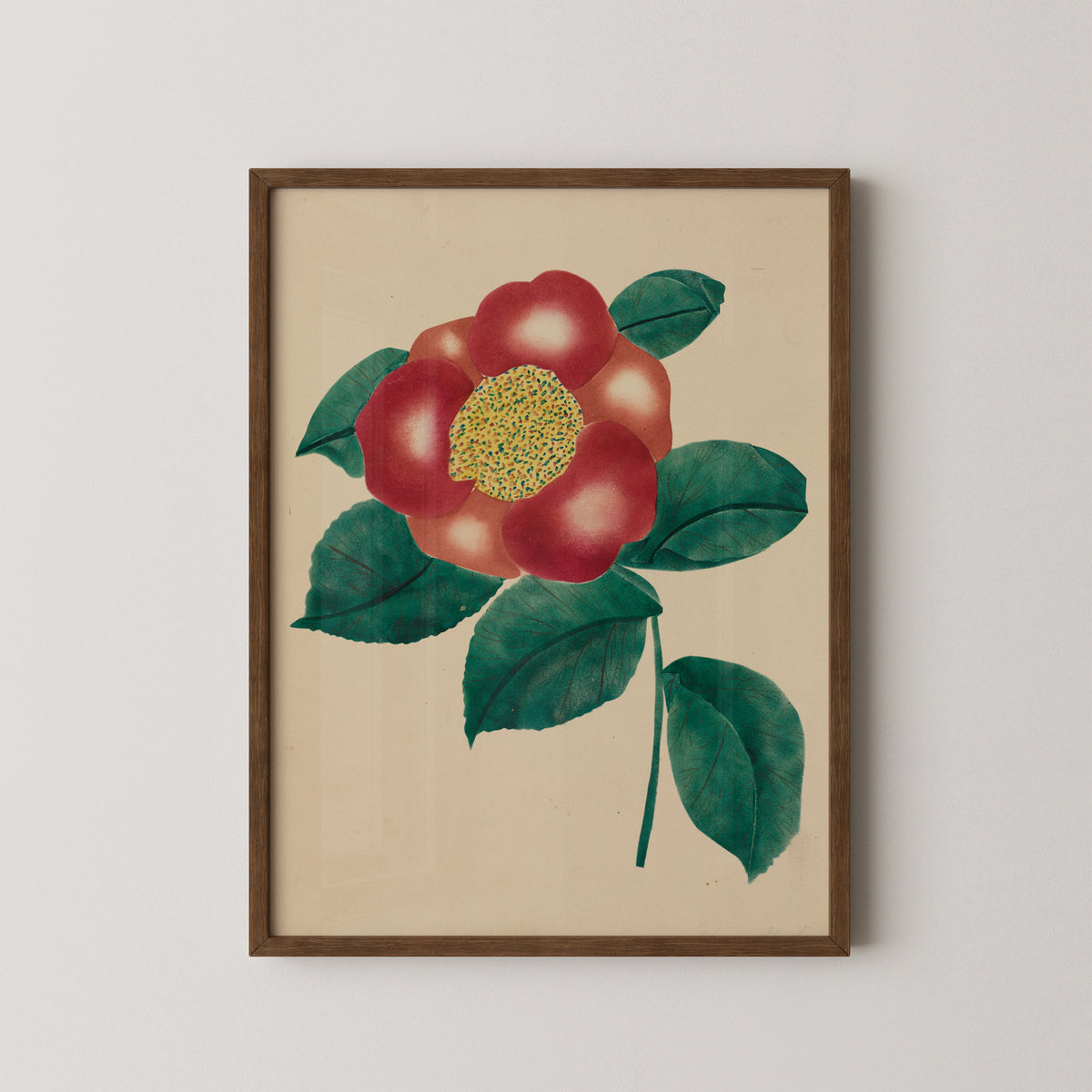Chinese Flower by Mary Altha Nims, art print in a dark wood frame