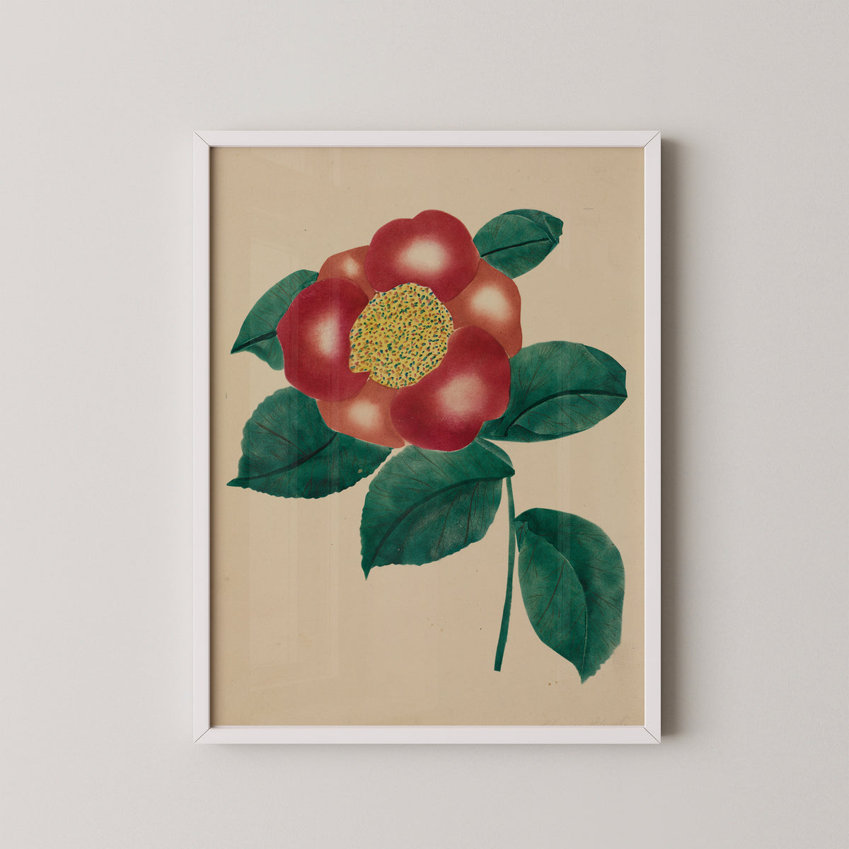 Chinese Flower by Mary Altha Nims, art print in a white frame