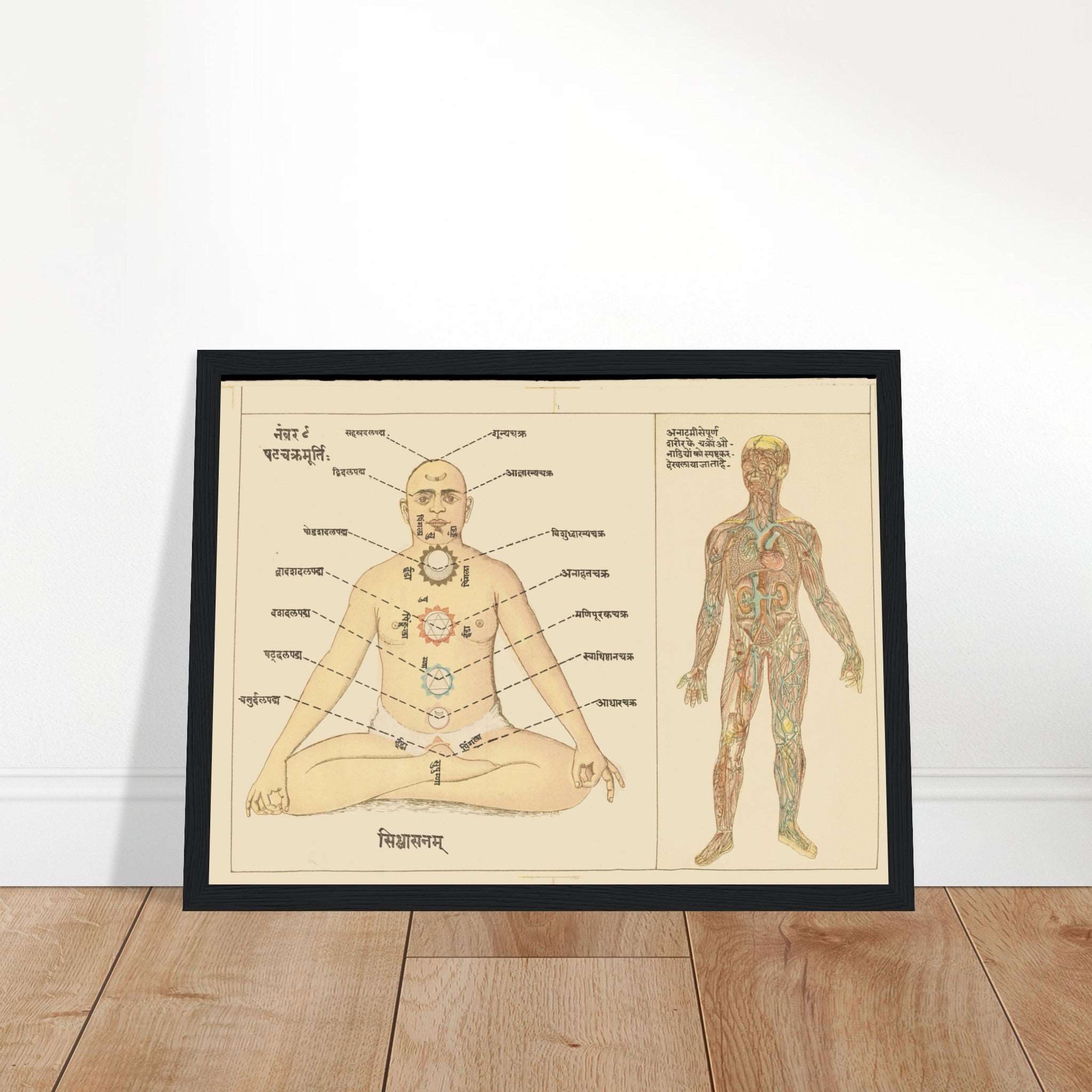 Explore the six chakras of Tantric Yoga in Sanskrit & Hindi, with anatomical parallels. Perfect for yoga enthusiasts and those seeking spiritual growth