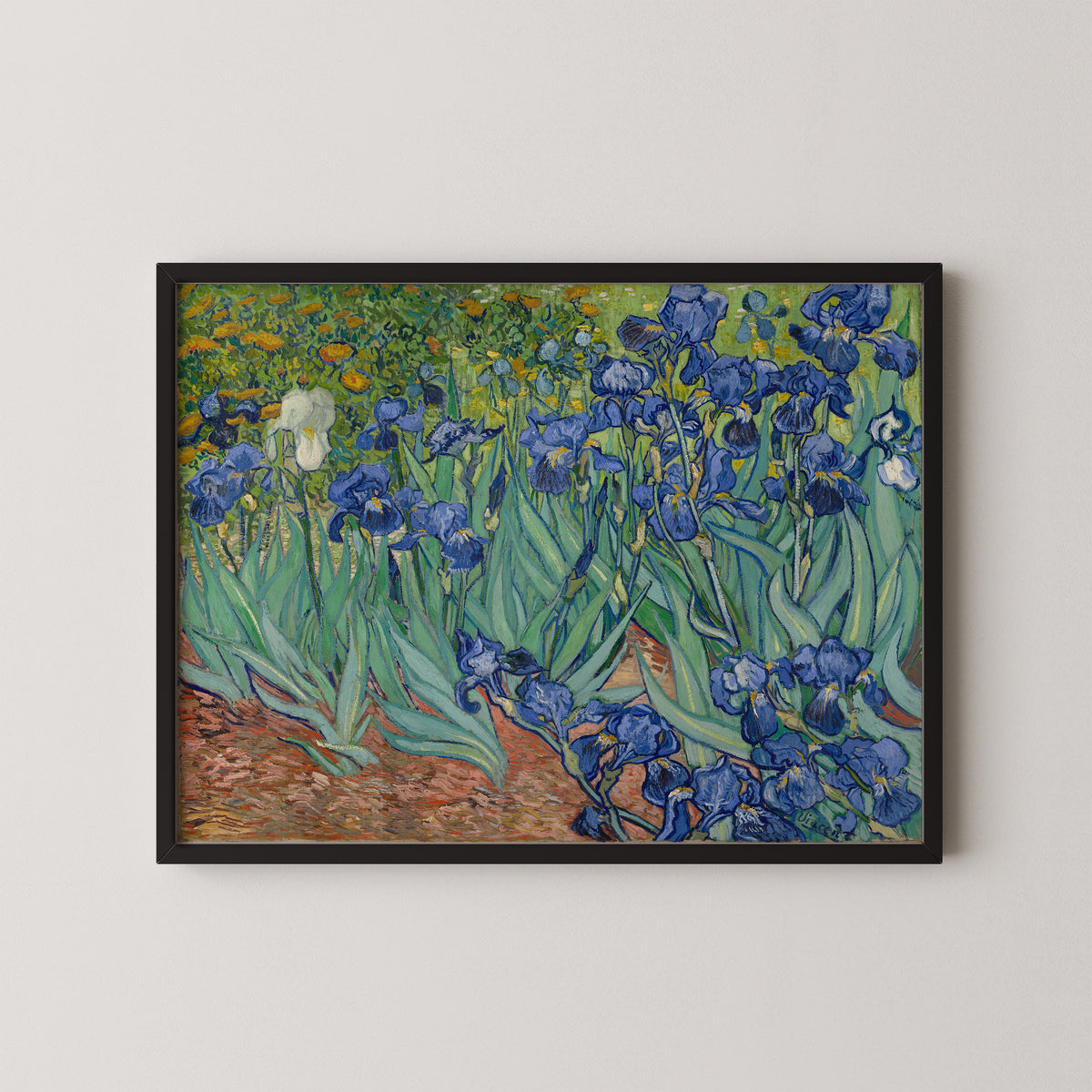 Irises by Vincent van Gogh, art print in a black frame