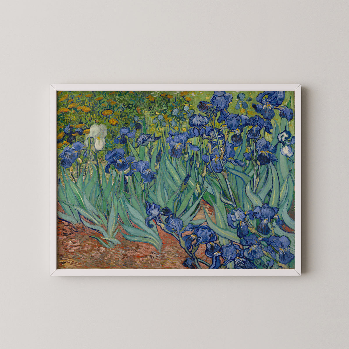 Irises by Vincent van Gogh, art print in a white frame