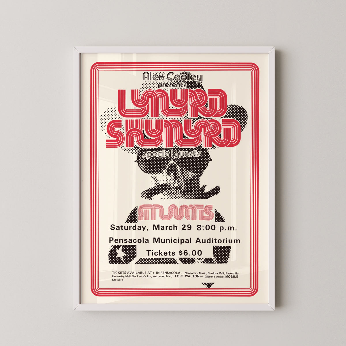 lynyrd skynyrd concert poster – white frame mockup