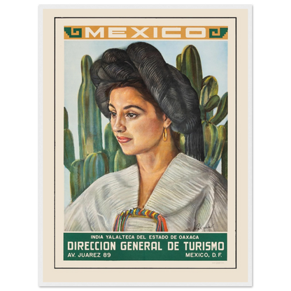 Artistic home decor print of a Mexican woman in vibrant traditional fashion, ideal for cultural art collectors and heritage-inspired design.