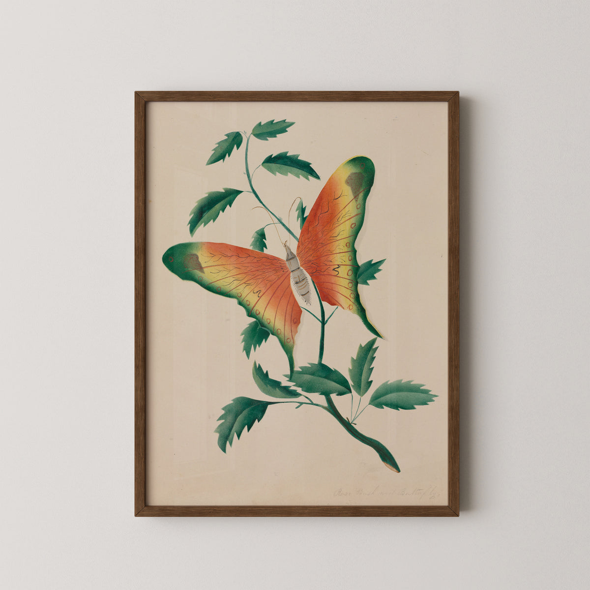 Rose Bush and Butterfly by Mary Altha Nims, art print in a dark wood frame