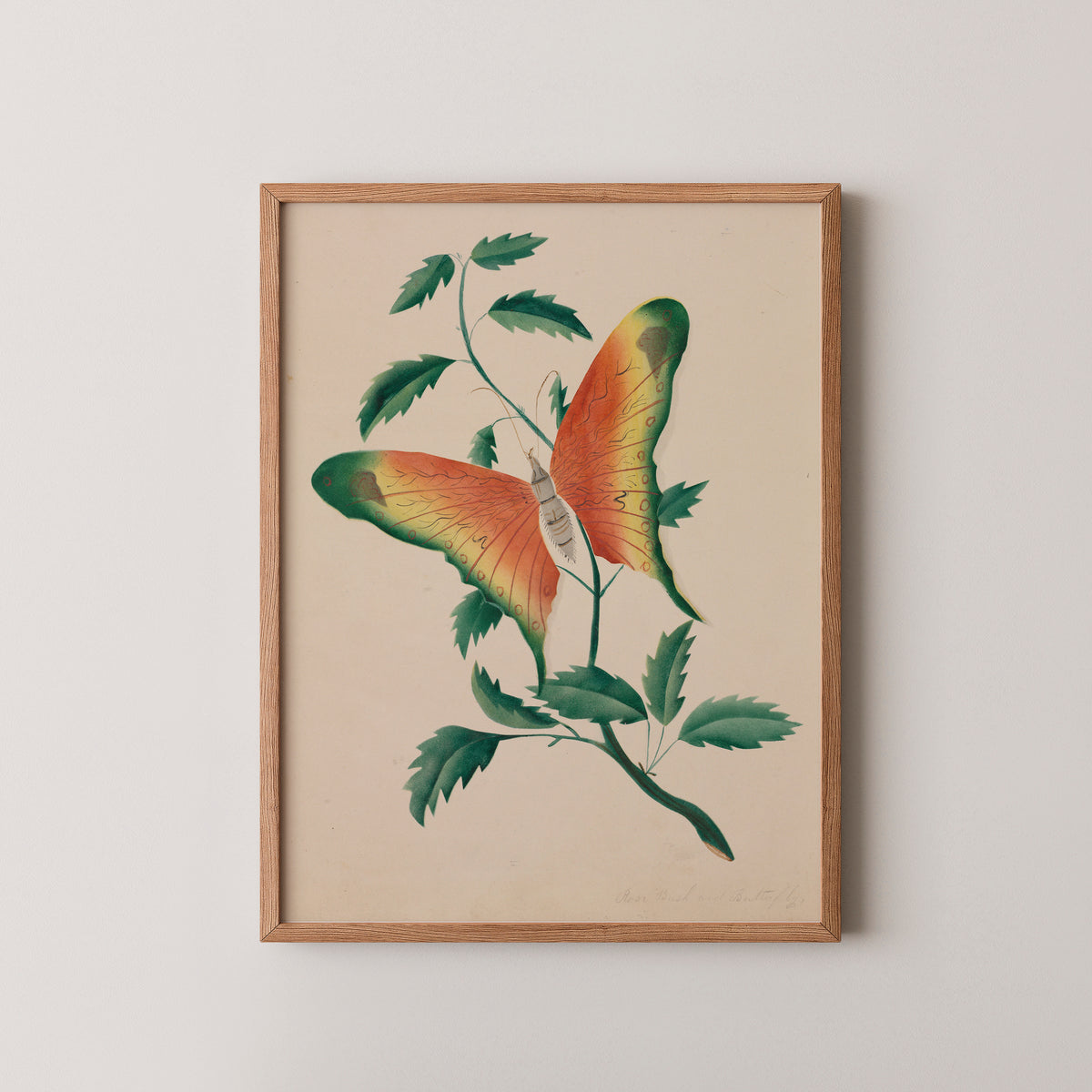 Rose Bush and Butterfly by Mary Altha Nims, art print in a natural wood frame