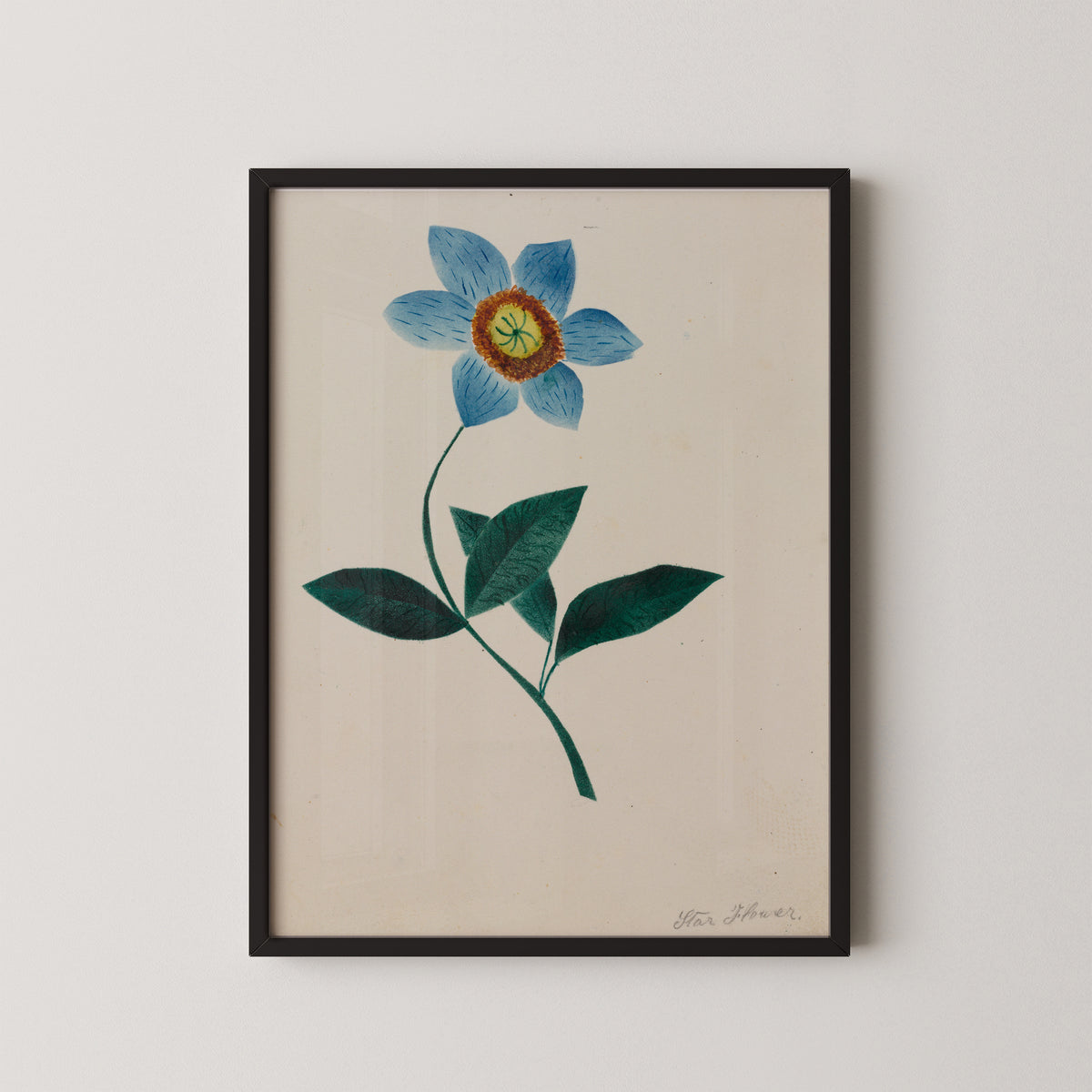 Star Flower by Mary Altha Nims, art print in a black frame