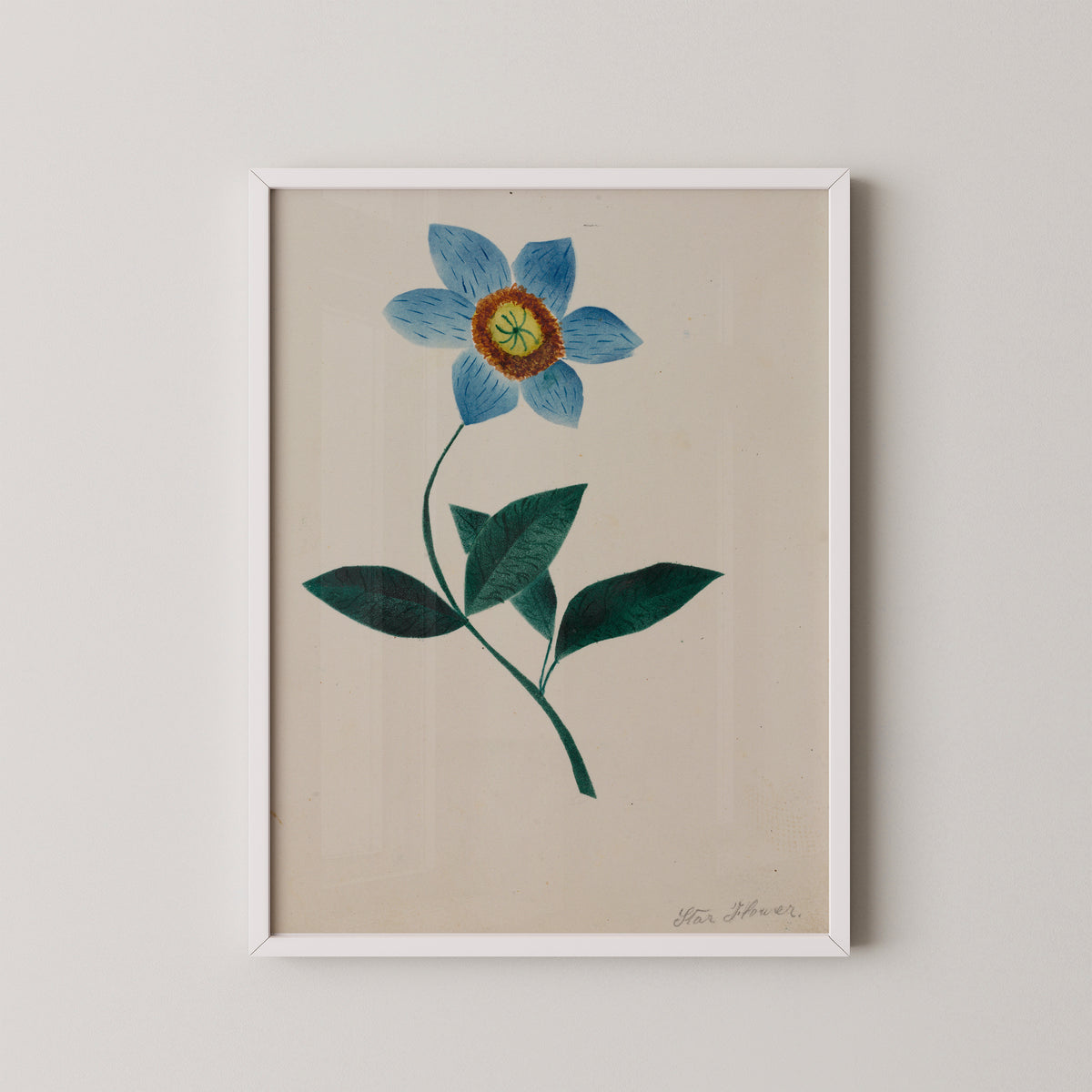 Star Flower by Mary Altha Nims, art print in a white frame