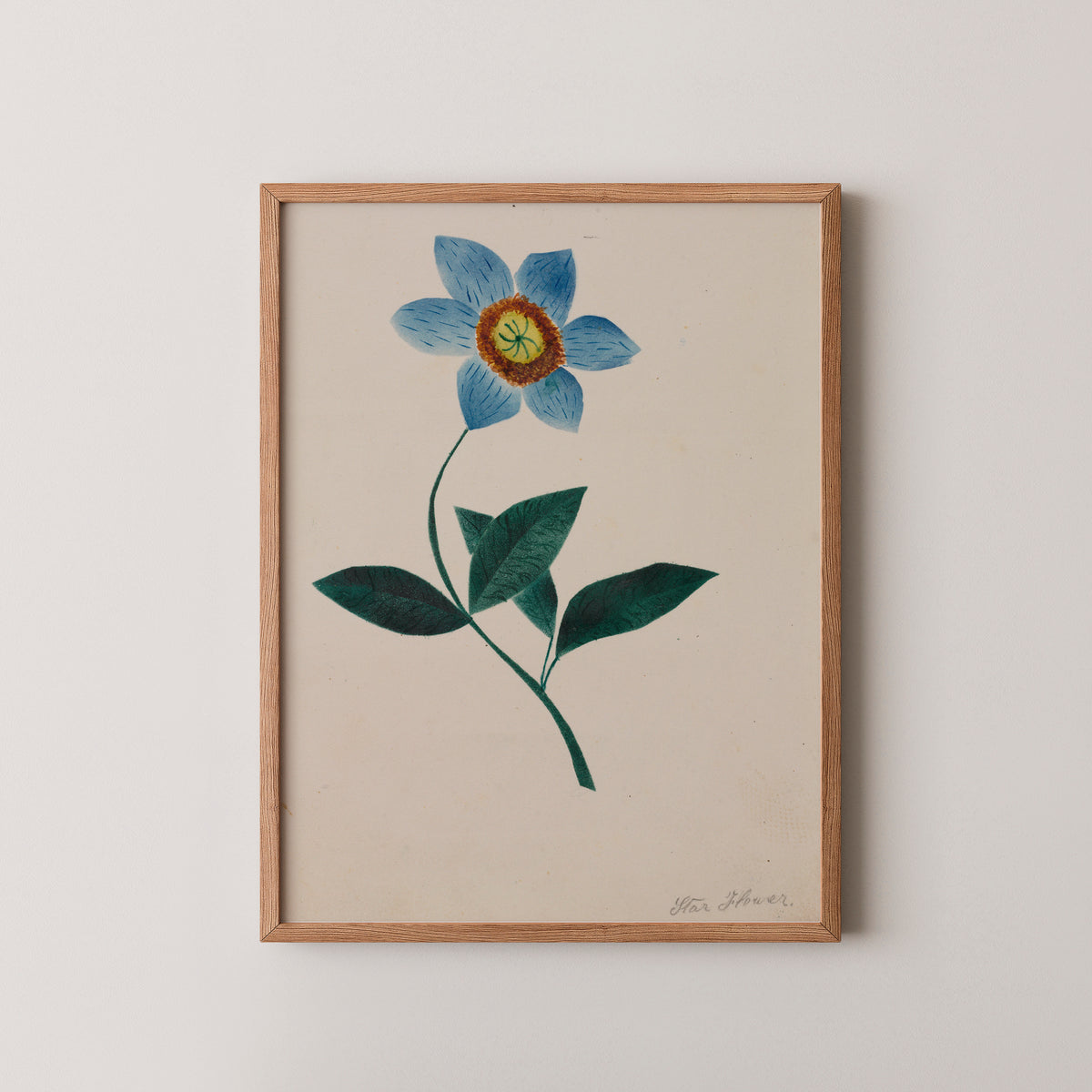 Star Flower by Mary Altha Nims, art print in a natural wood frame