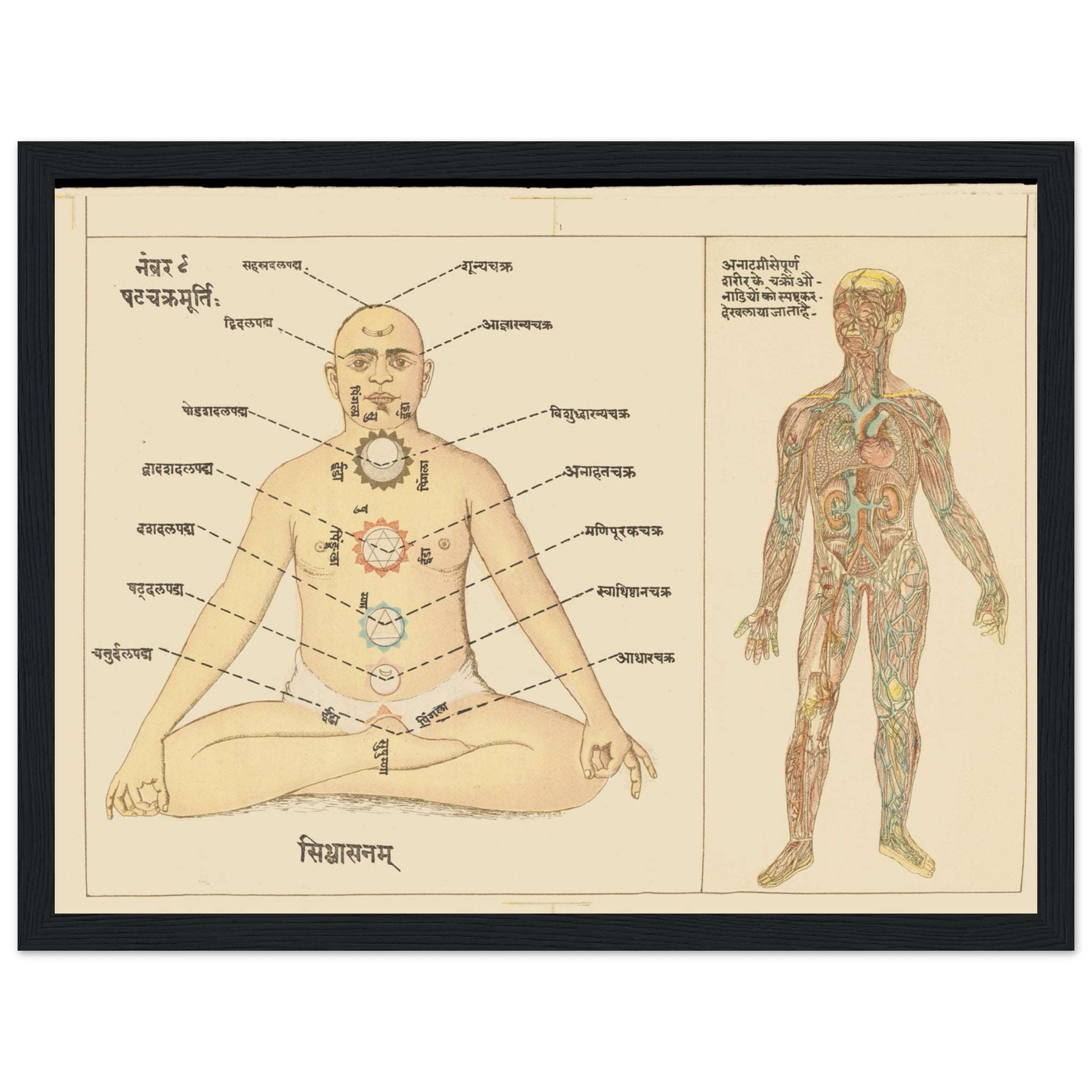 Explore the six chakras of Tantric Yoga in Sanskrit & Hindi, with anatomical parallels. Perfect for yoga enthusiasts and those seeking spiritual growth